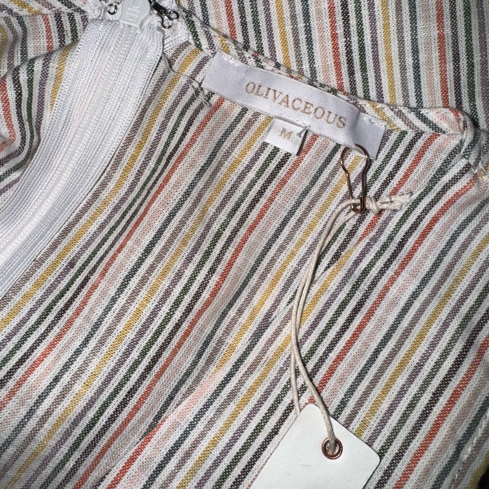 NWT Olivaceous Multicolor Striped Dress - Picture 4 of 4